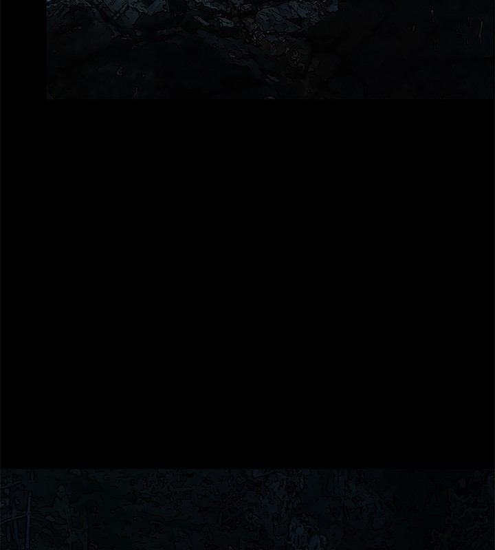 100.jpg