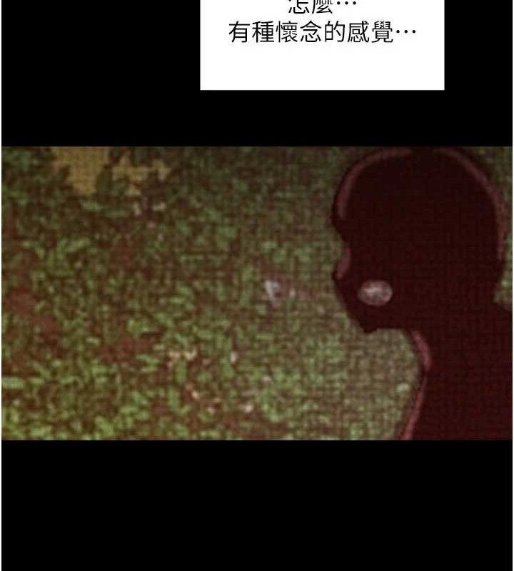 162.jpg