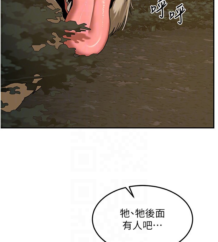 163.jpg