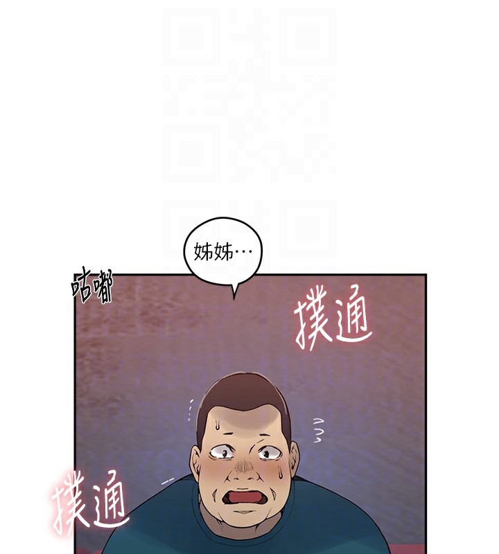 81.jpg