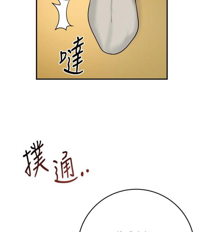 64.jpg