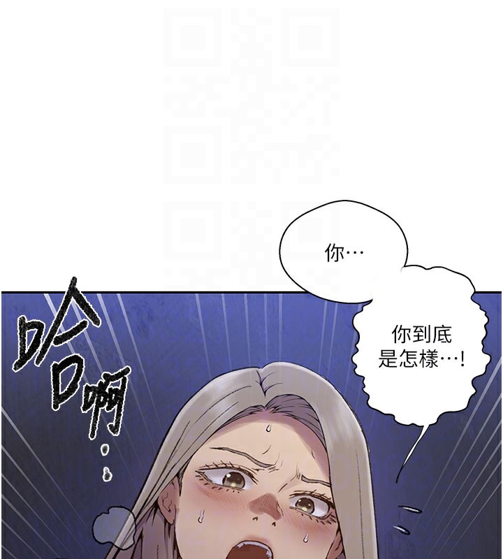 81.jpg