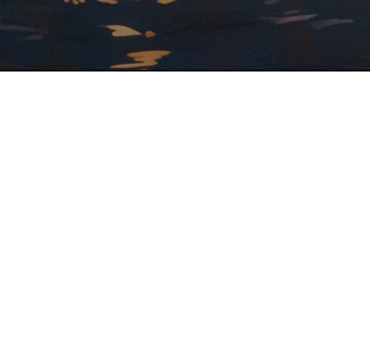 239.jpg