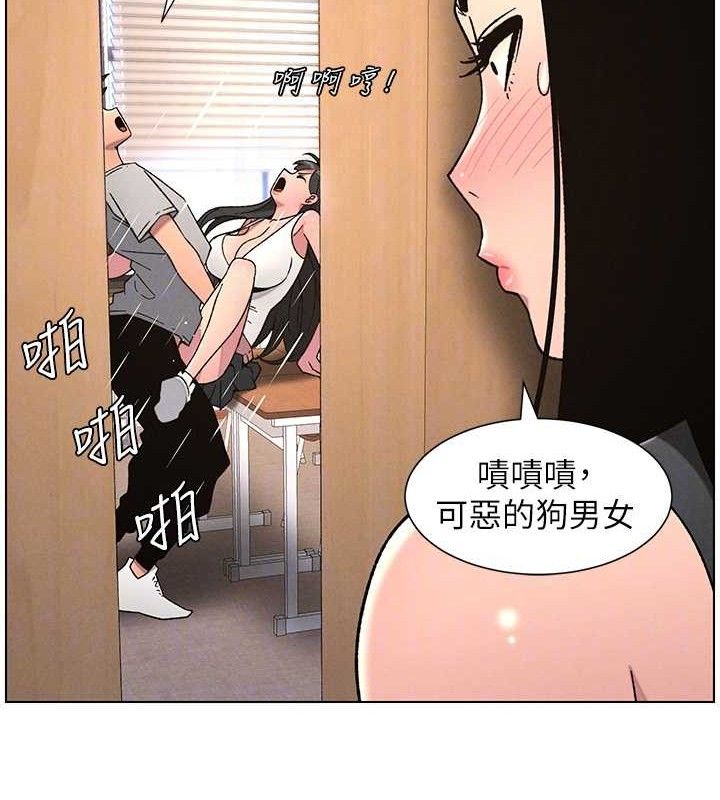 96.jpg