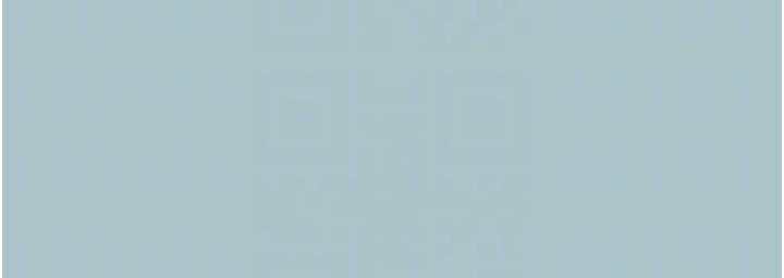 113.jpg