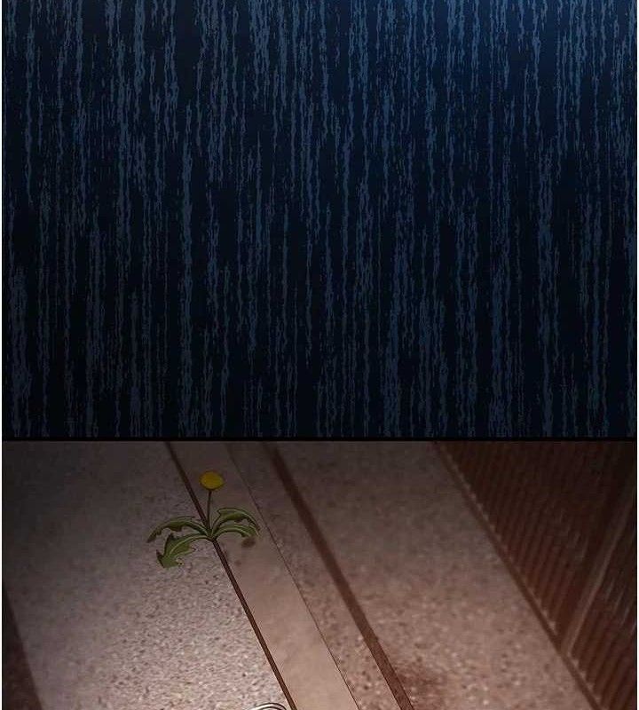 136.jpg