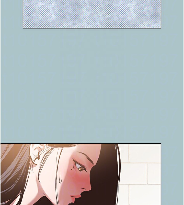 73.jpg