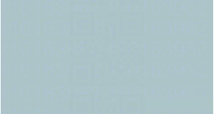 79.jpg