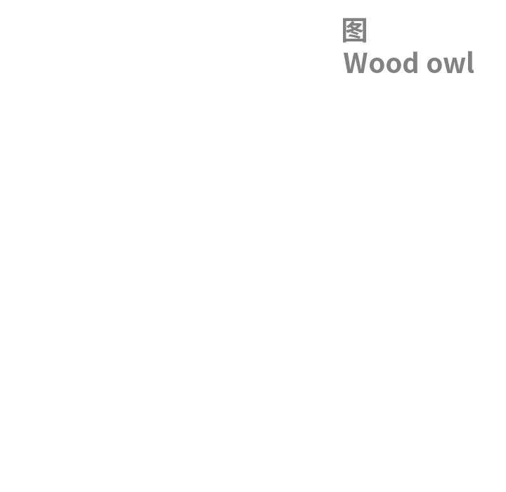 最強男人第46話