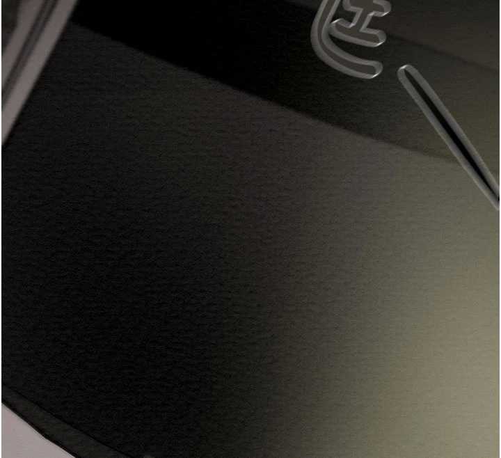 掠奪行動第79話-我是個危險的女人