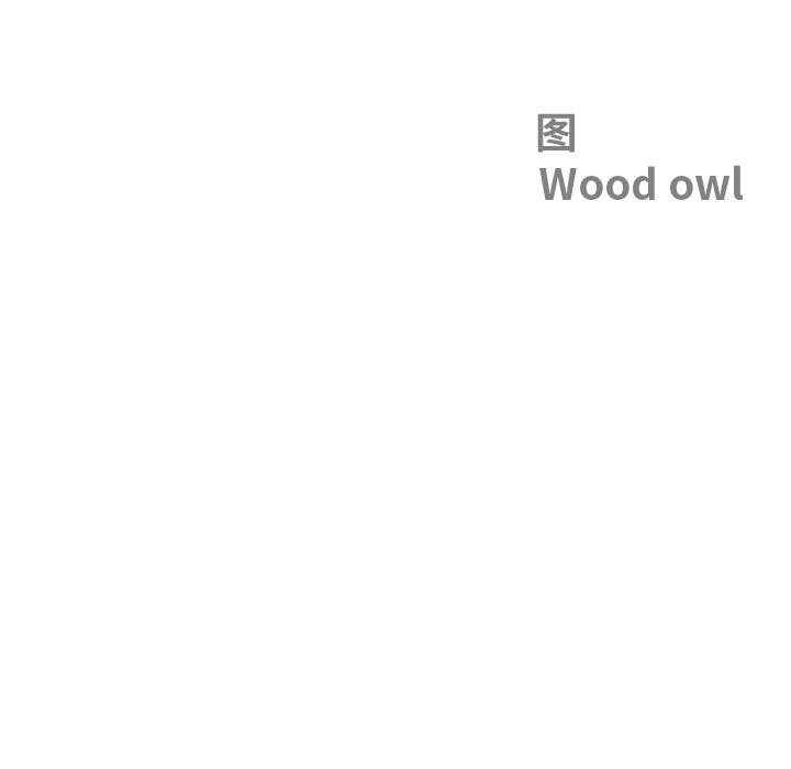 最强男人第50話