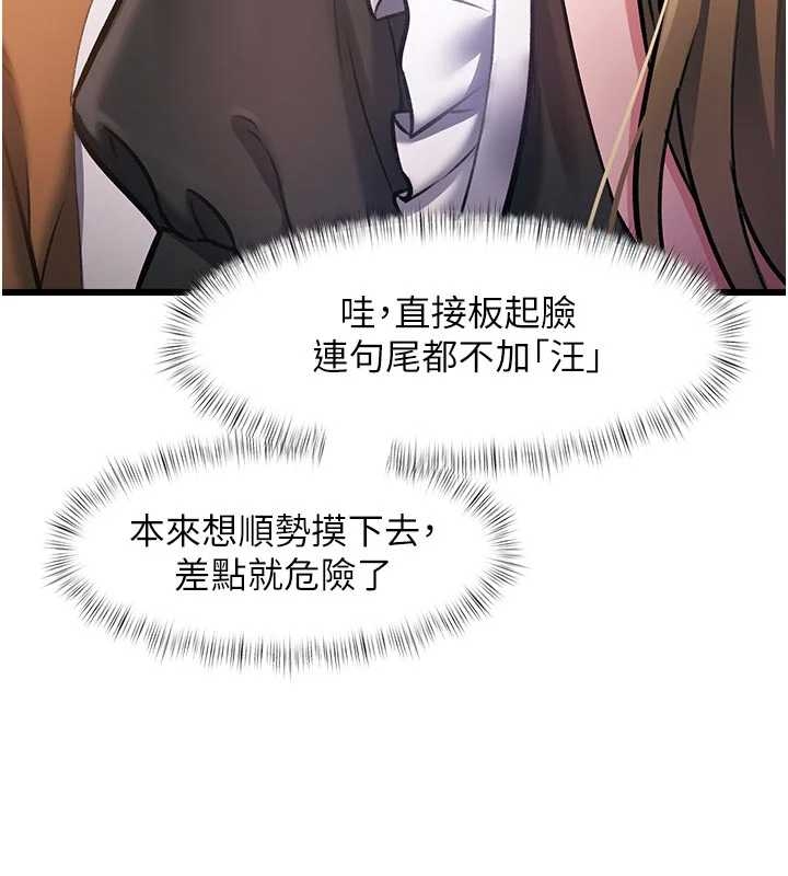 特色新视界第17話-馴服野貓守則