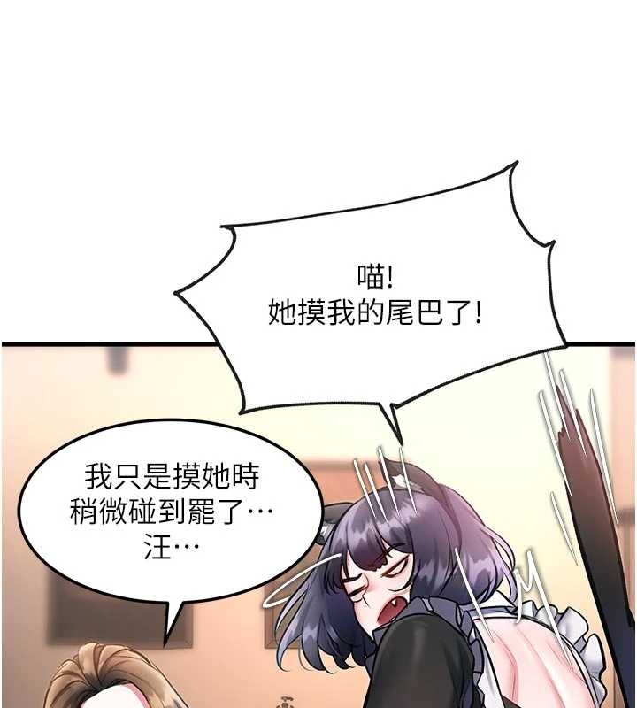 特色新视界第17話-馴服野貓守則