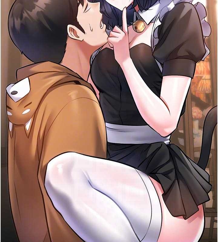 特色新视界第17話-馴服野貓守則