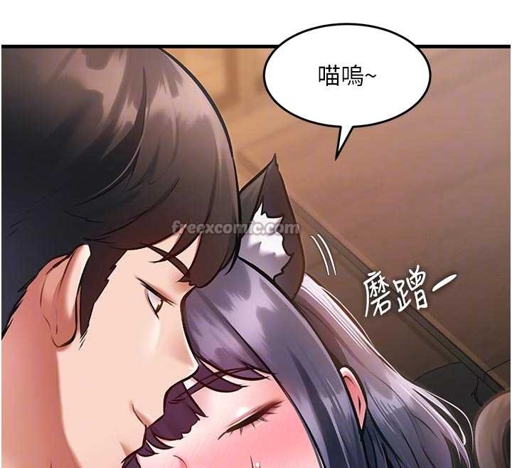 特色新视界第17話-馴服野貓守則