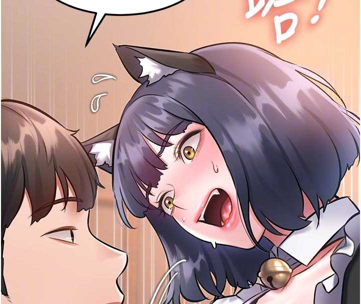 特色新视界第17話-馴服野貓守則