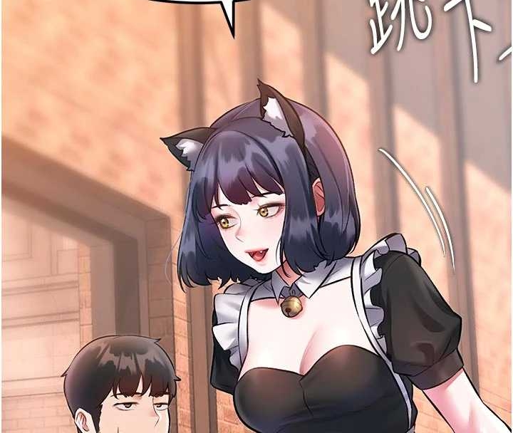 特色新视界第17話-馴服野貓守則