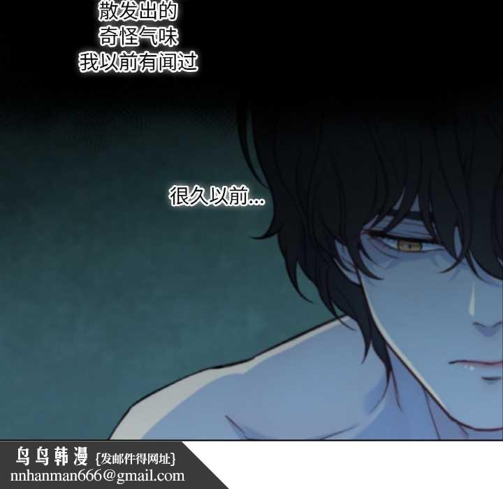 吉赛儿之血第29話