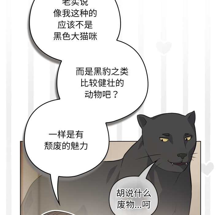 喵來的戀愛第49話