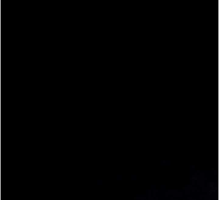 掠夺行动第87話-這顆賤鮑值多少錢?!