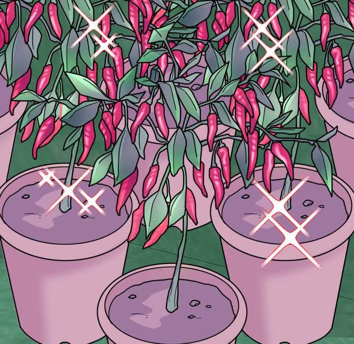 爱的调味课第10話