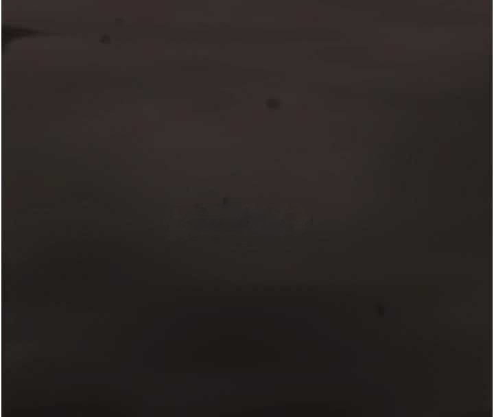 花容濕色:取花點第90話-脅迫秋香