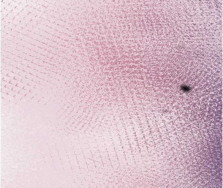 花容濕色:取花點第90話-脅迫秋香