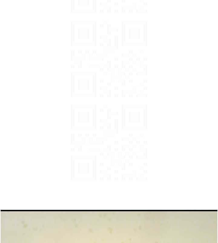 黑道千金第70話-復仇的最後結局