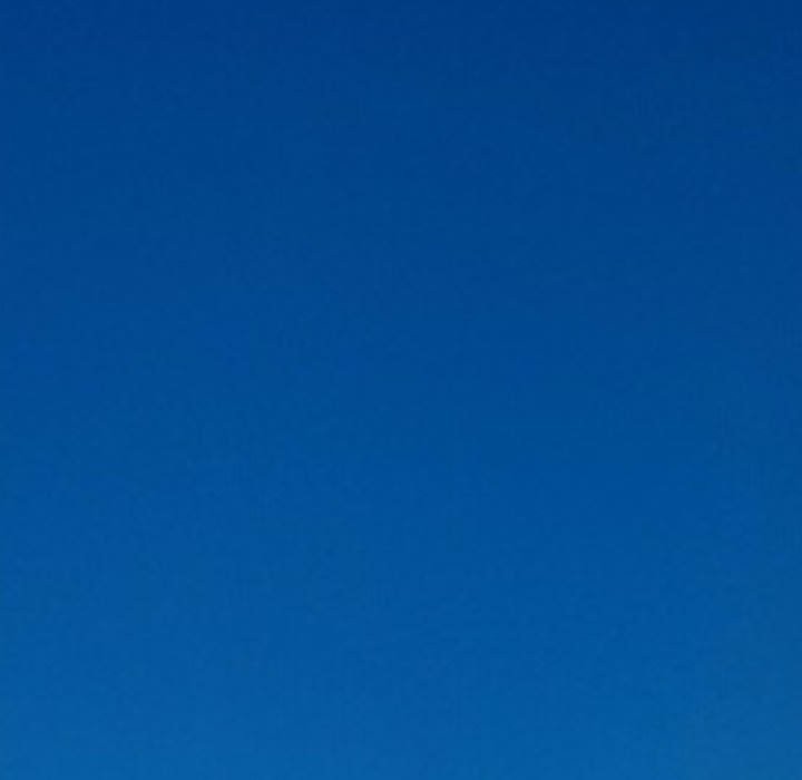 公主殿下要收种子啦！第18話