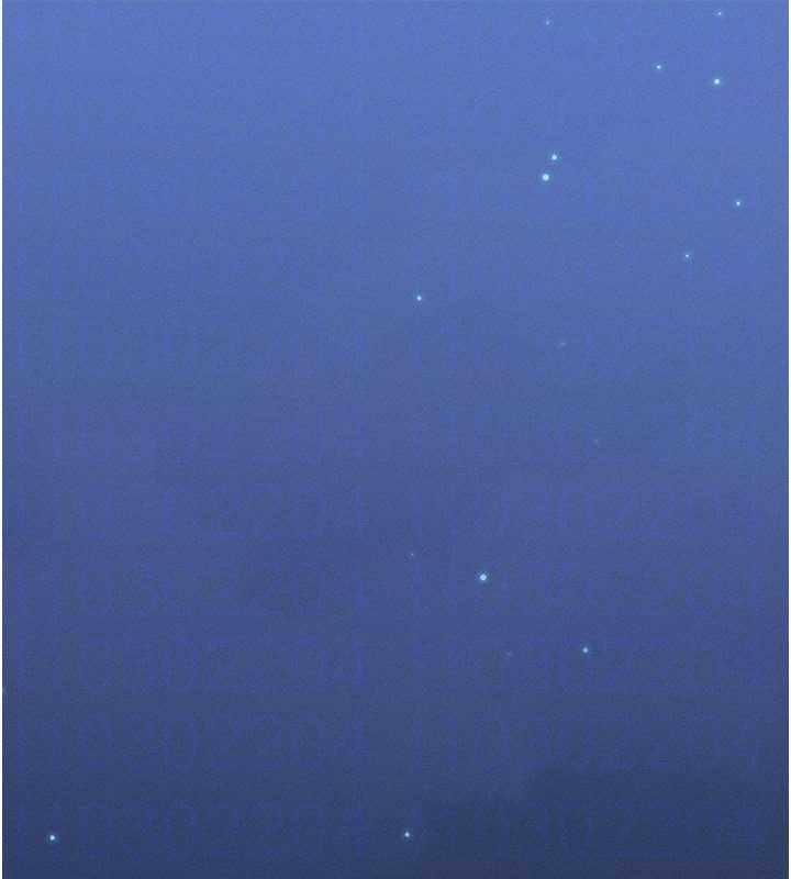 等價交換人生第50話-我們結婚吧