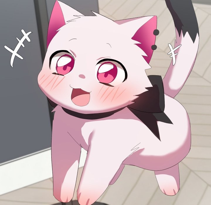 魔法少女退役後第3話