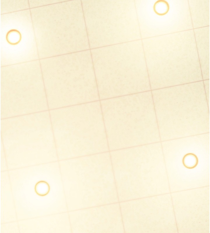 拜脫拜脫App第54話-發洩不完的精力