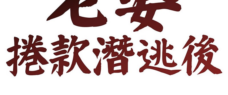 老婆捲款潛逃後第2話