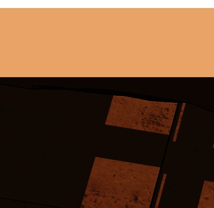 黑幫千金養成記第16話