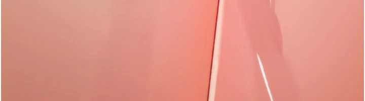 詛咒性轉物語第20話-紅遍整棟樓的變態女