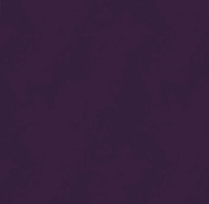 与众不同的兄妹第39話