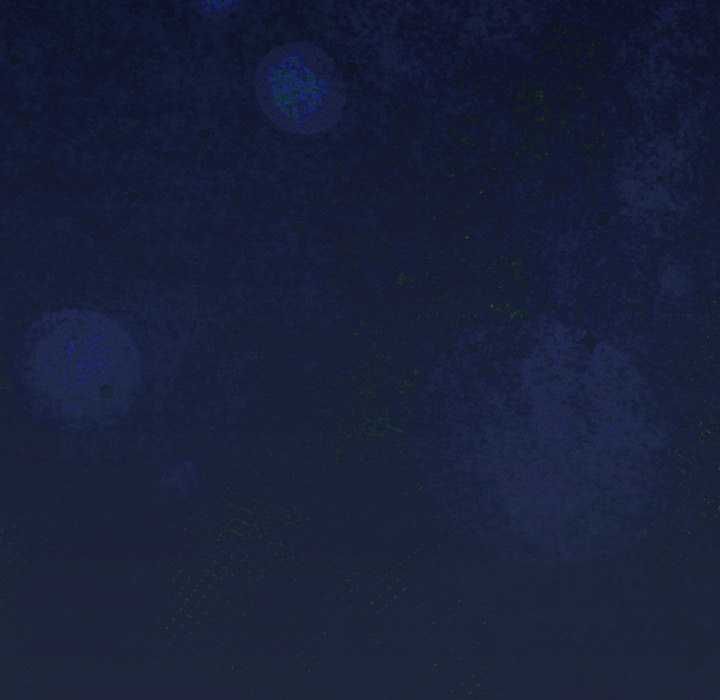 與眾不同的兄妹第48話